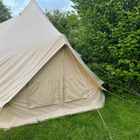 Bluebell Tent At Ballyward Croft Ardkeen Dış mekan fotoğraf