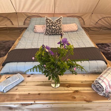 Bluebell Tent At Ballyward Croft Ardkeen Dış mekan fotoğraf