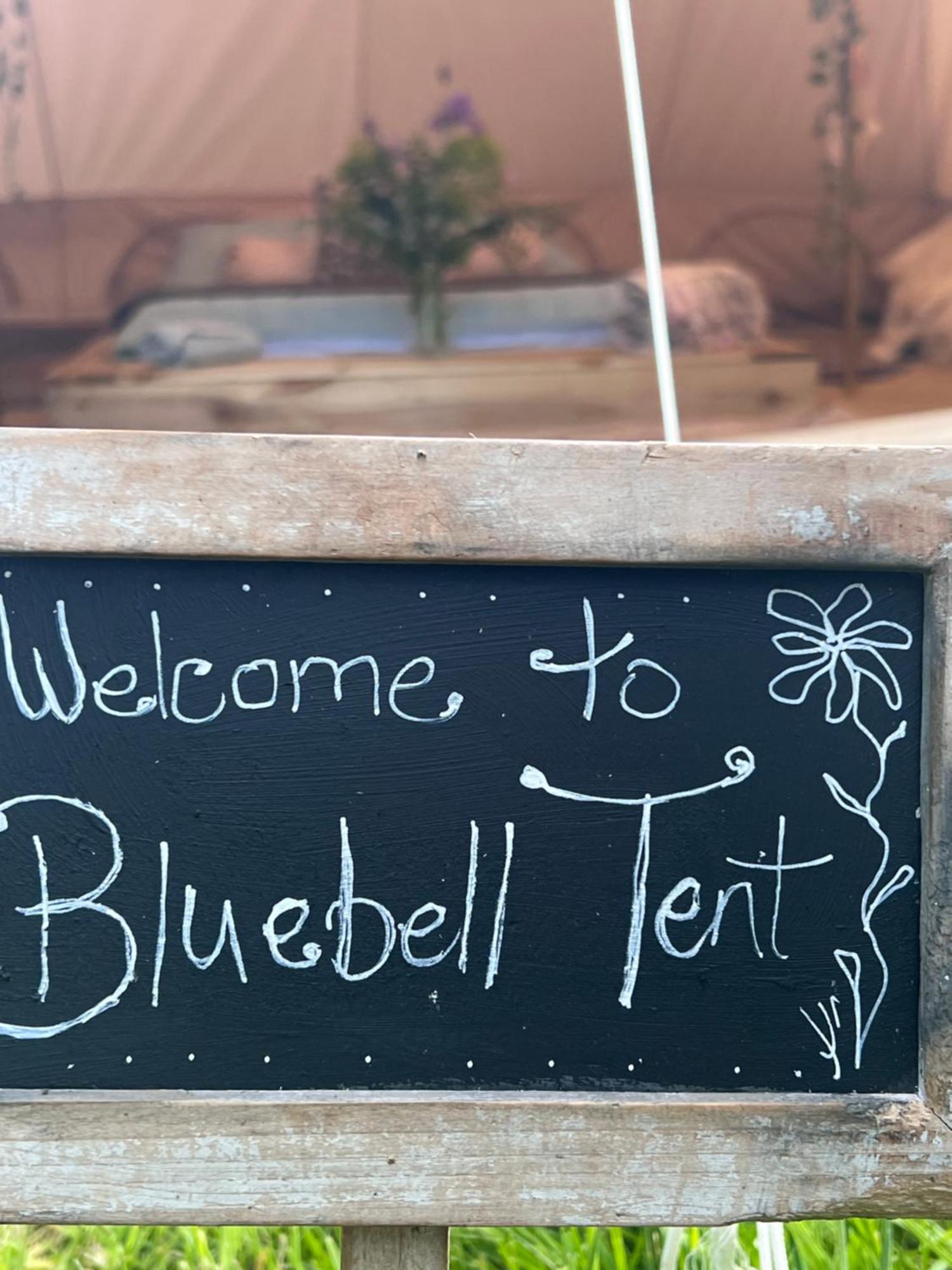 Bluebell Tent At Ballyward Croft Ardkeen Dış mekan fotoğraf