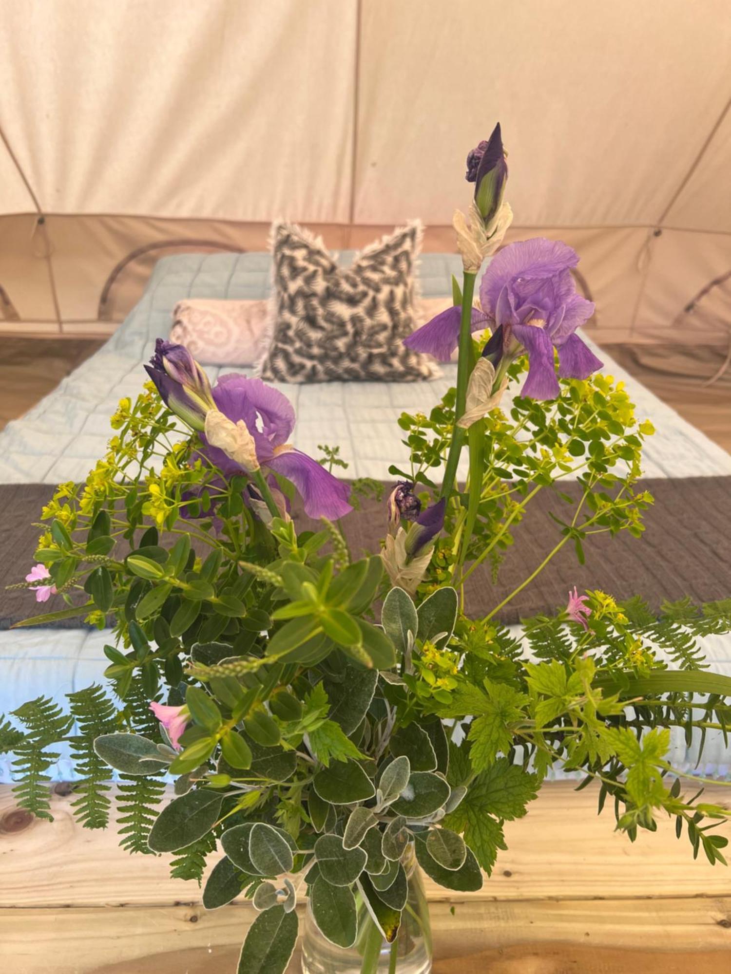 Bluebell Tent At Ballyward Croft Ardkeen Dış mekan fotoğraf