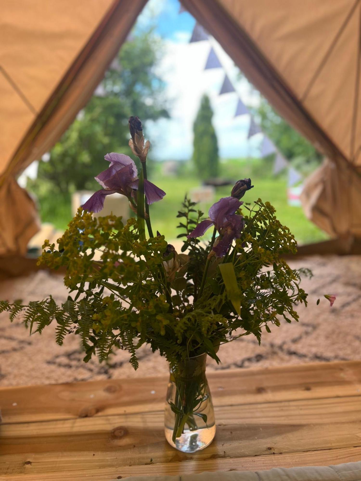 Bluebell Tent At Ballyward Croft Ardkeen Dış mekan fotoğraf